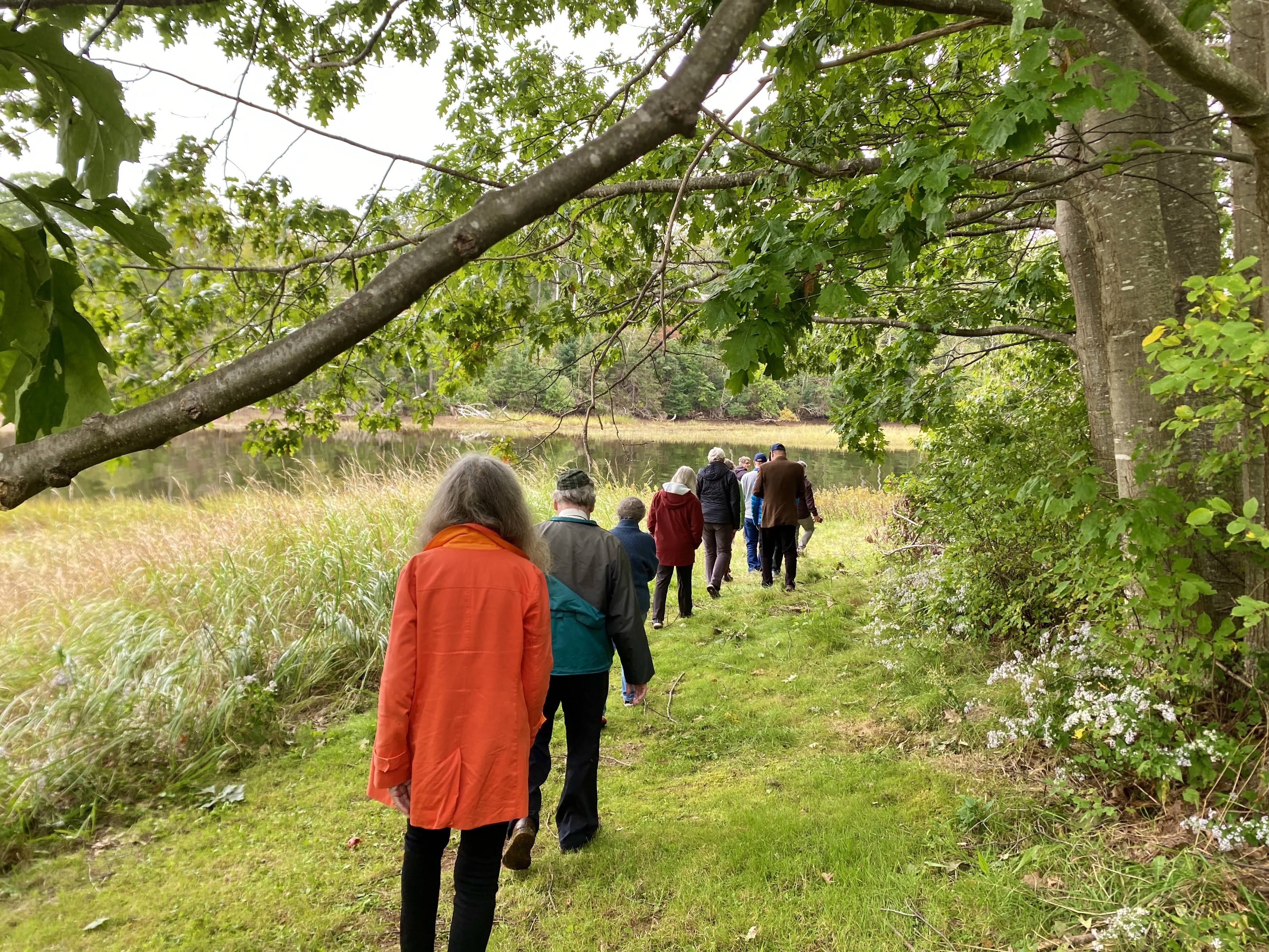  People walking in a line underneath a tree canopy. There is water in the distance.