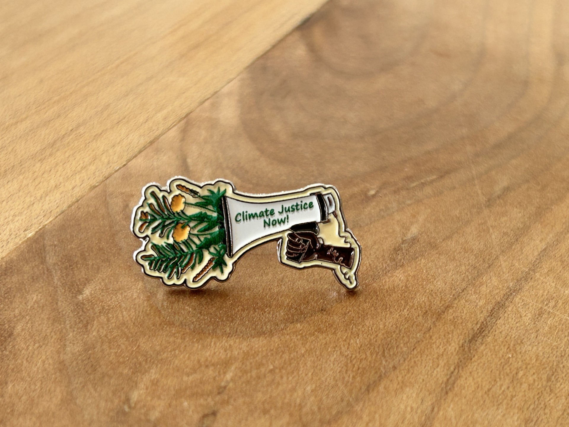 climate leadership badge