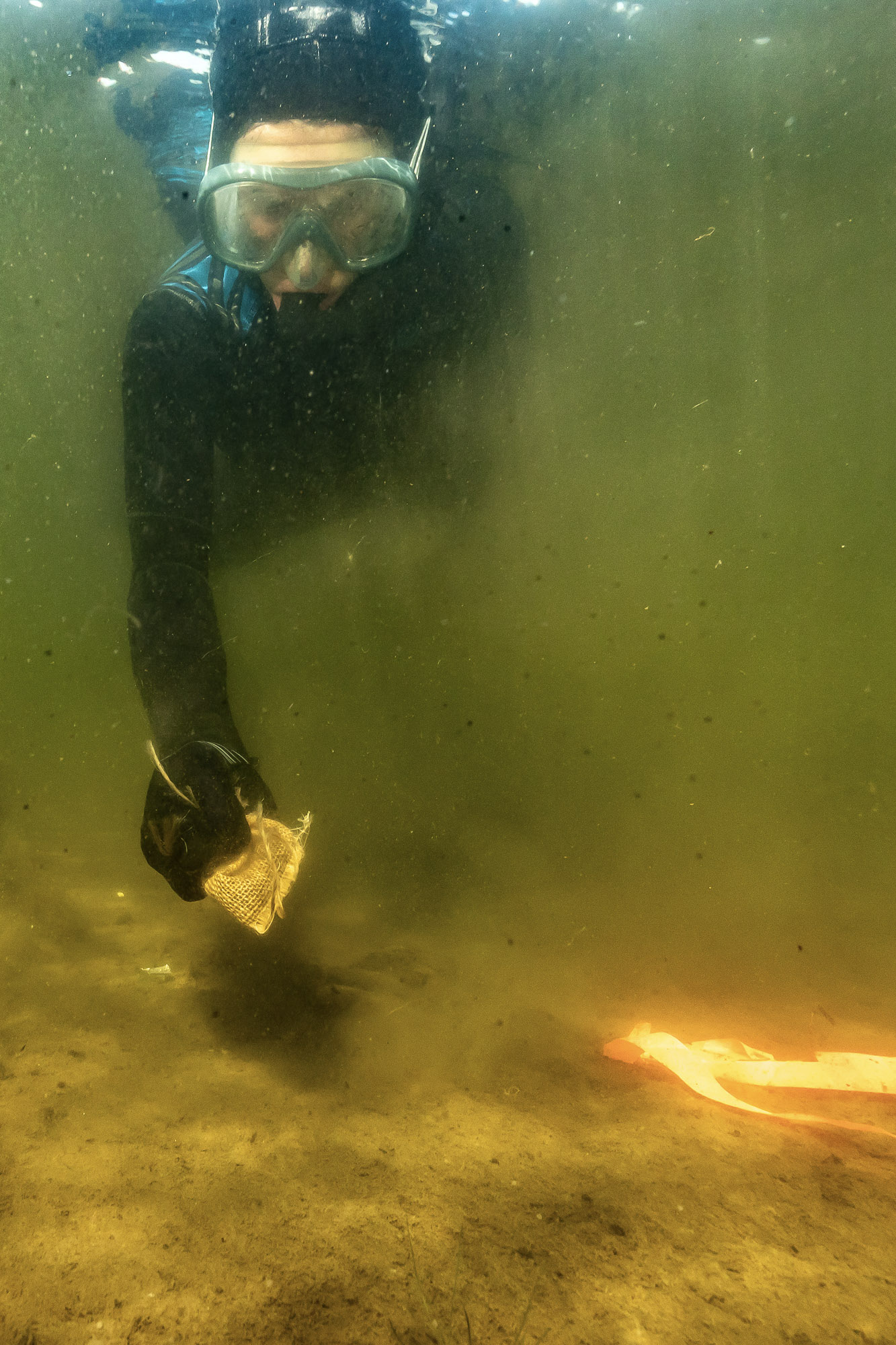 A person in a mask and breathing apparatus pushes a small burlap bag towards the ocean floor.