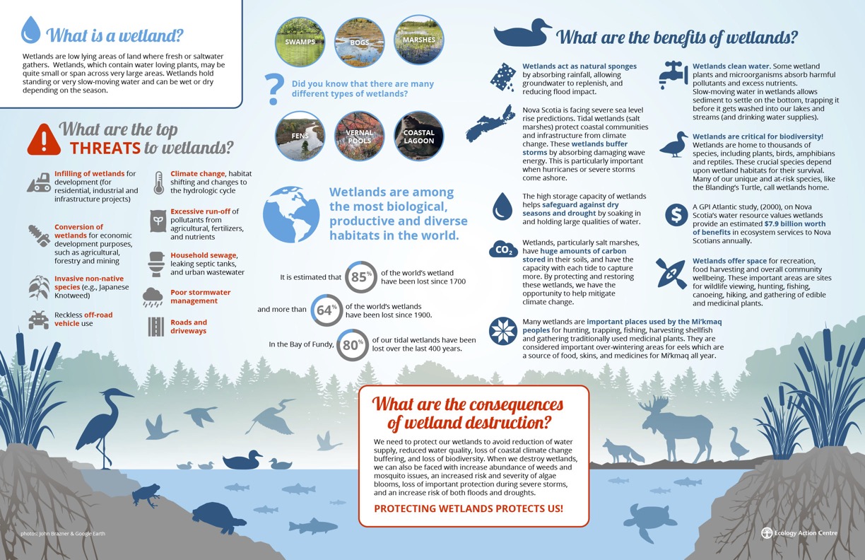 Info graphic with various wetlands facts