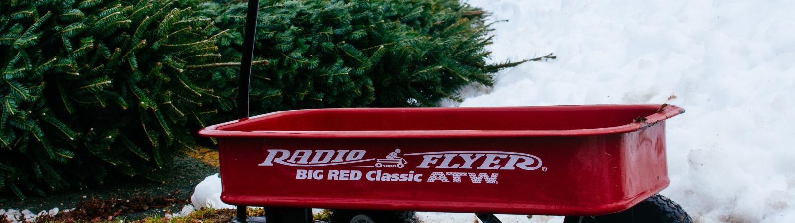 red wagon in front of green christmas trees