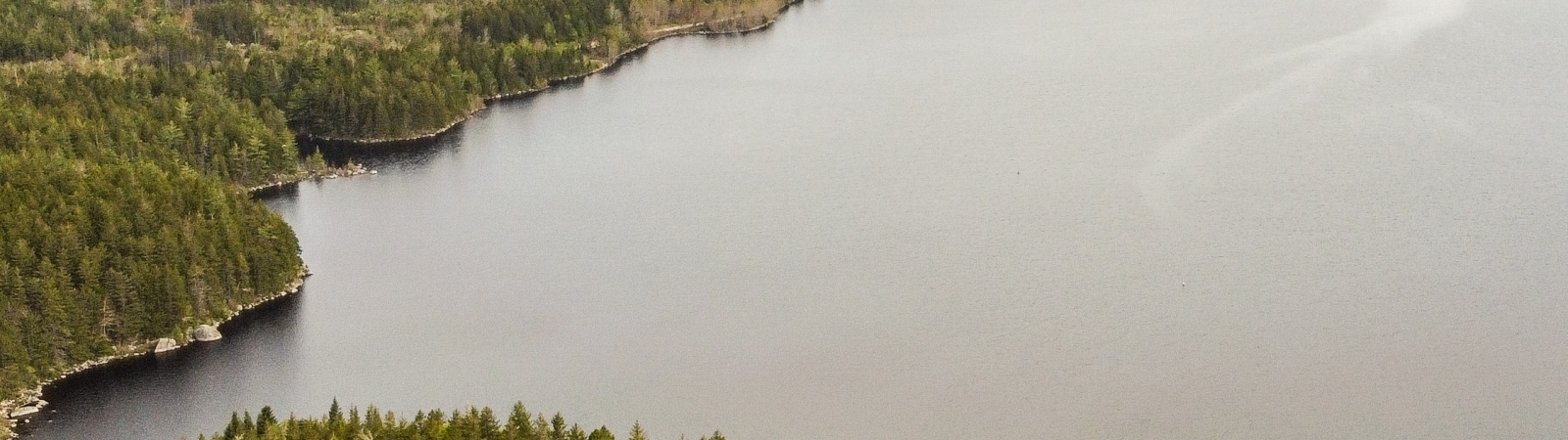 an aerial view of a lake with trees surrounding it