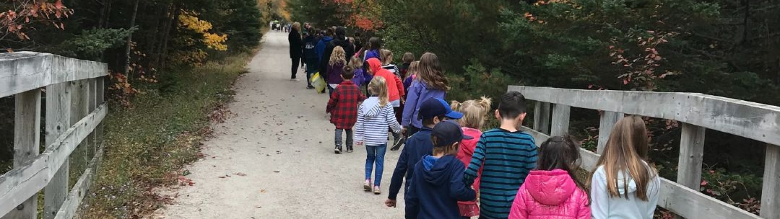 a group of school aged children walking on a gravel path with wooden railings on the side of a section of it. trees, with their leaves showing fall colours, are on either side of the path