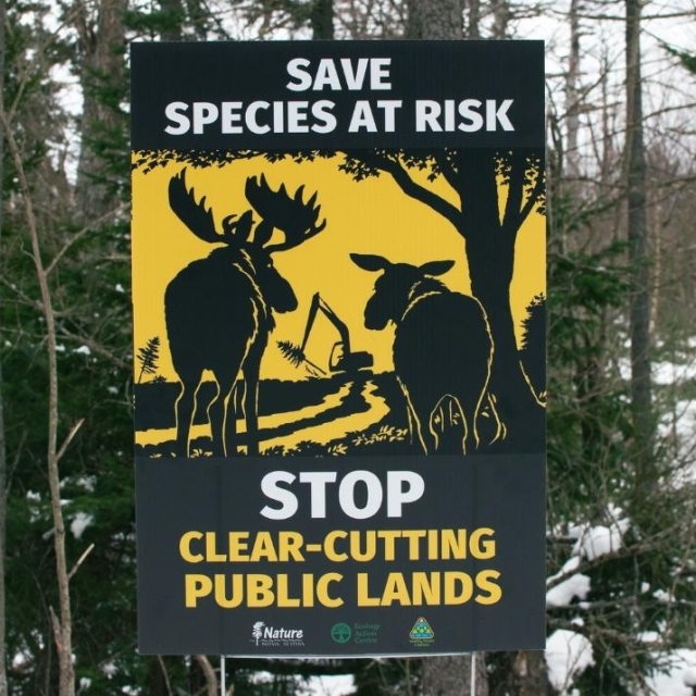 Stop Clearcutting Public Lands lawn sign