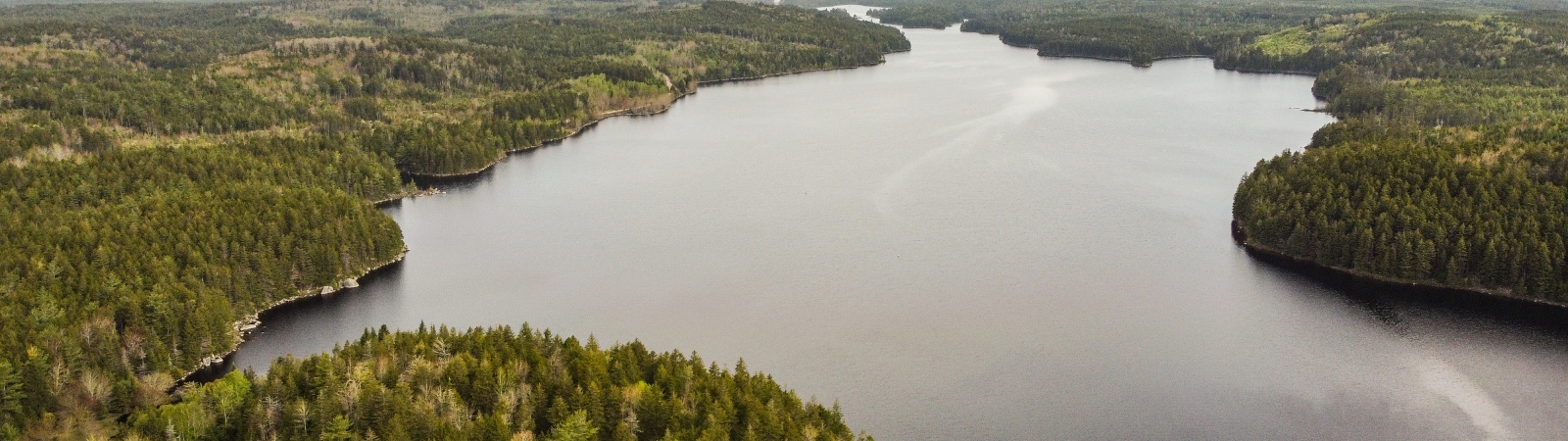 Ariel shot of Sandy Lake by Simon with green trees.