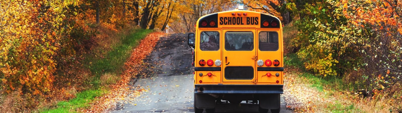 A school bus drives down a rural road away from the camera, with trees in full fall colours on either side.
