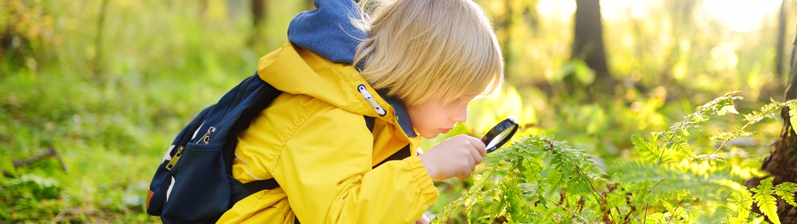 a child with blond hair, a yellow jacket and black backpack looking at plants in the woods.