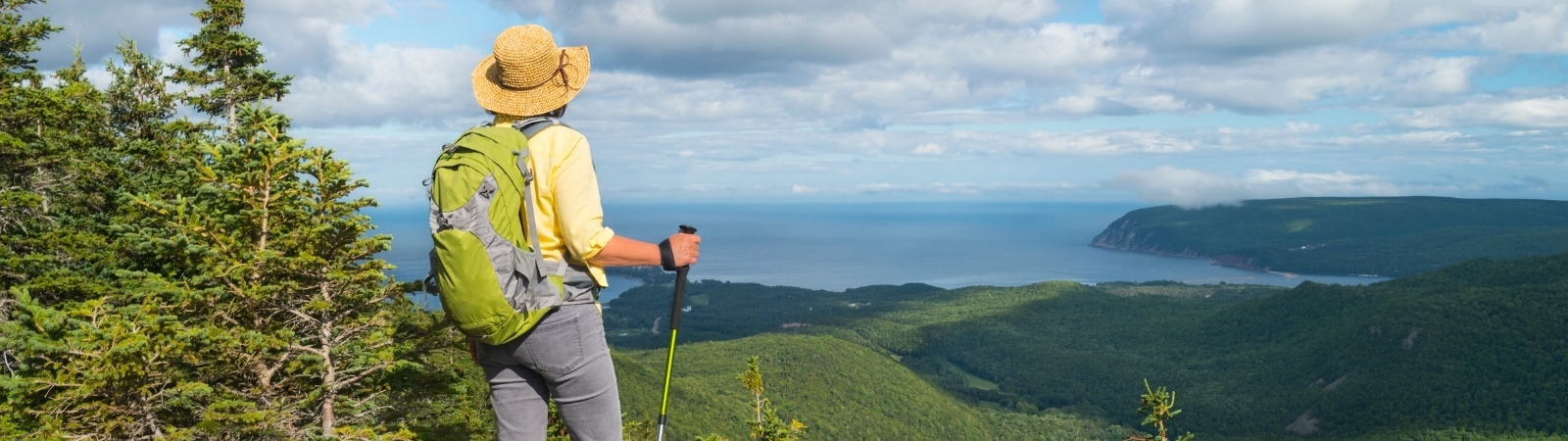 Person standing at the top of a mountain, looking out over a scenic view of trees and water