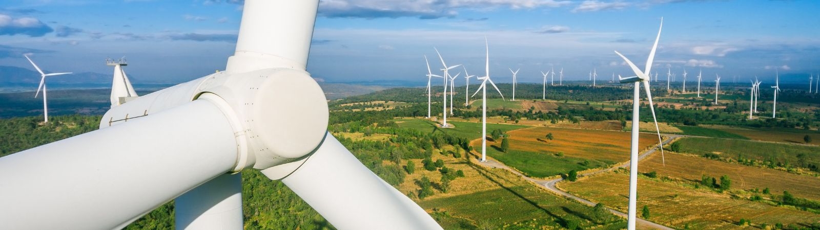 A field with several wind turbines under a blue sky