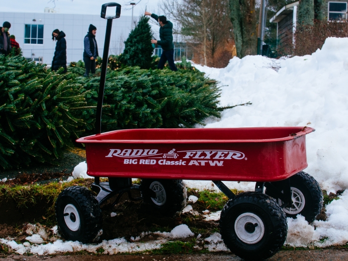 red wagon in front of green christmas trees