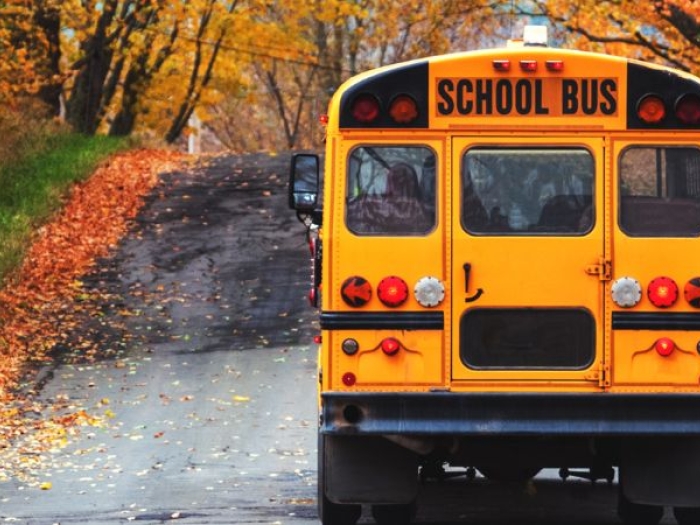 A school bus drives down a rural road away from the camera, with trees in full fall colours on either side.