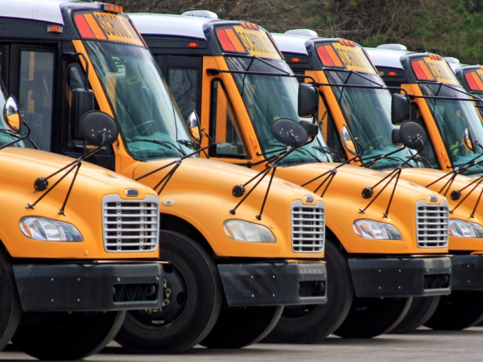 a row of electric school buses