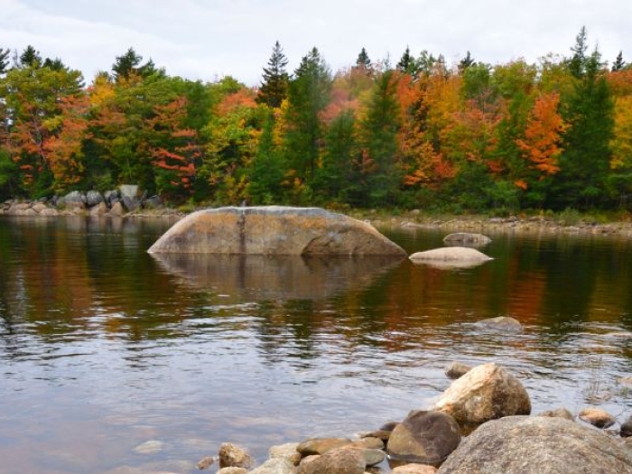 a lake with trees, their leaves turning orange and red, in the background