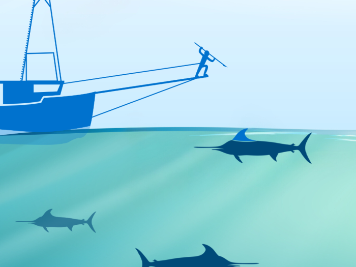 an animated photo of swordfish swimming near a boat with a harpoon fisher perched on the prow