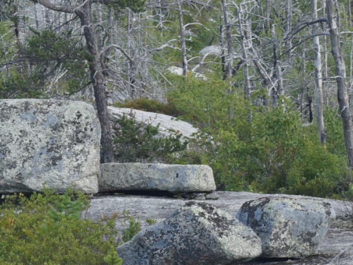 a rocky hiking trail with the EAC Hike-A-Thon logo