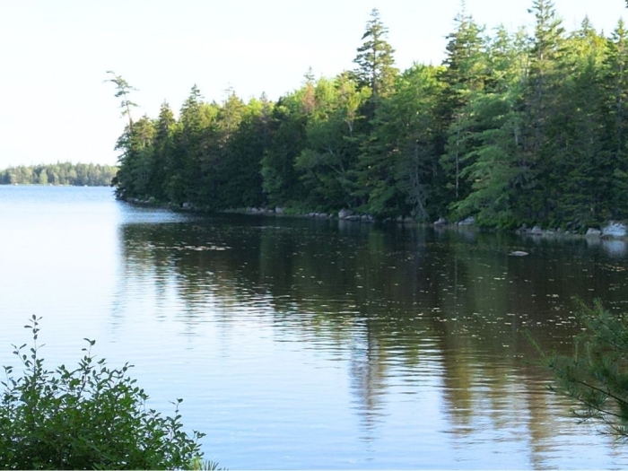 Goldsmith Lake with trees reflected in water
