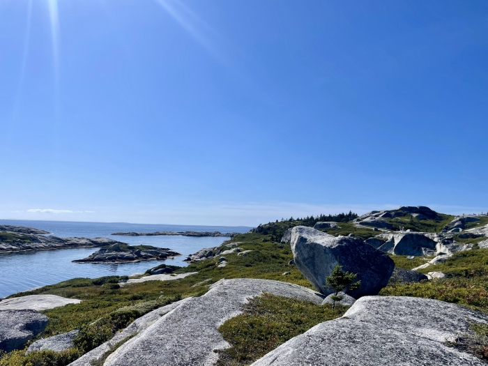 Scenic view of mossy slate rocks and water at West Dover Provincial Park
