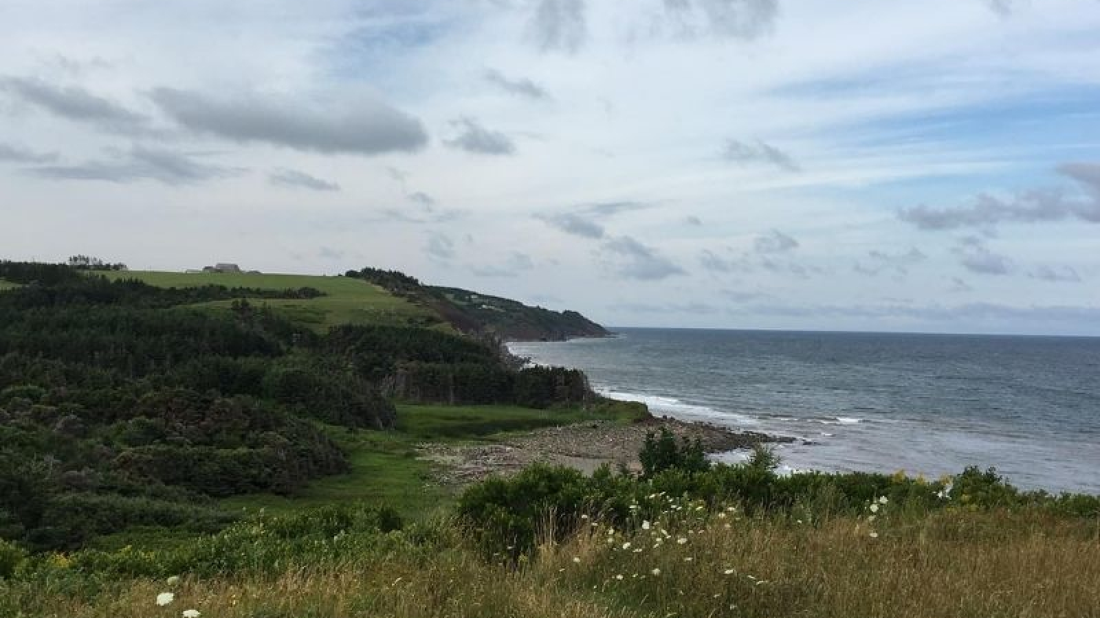 Grassy coastal path in West Mabou Beach Provincial Park